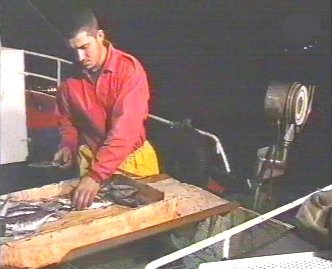 PESCA 36  GANADO